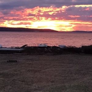 Meet your Posher, Robin